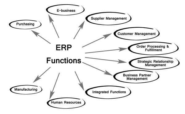 Erp 的功能 — 图库照片